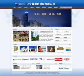 大连网站建设与设计 新图闻科技的专业之道