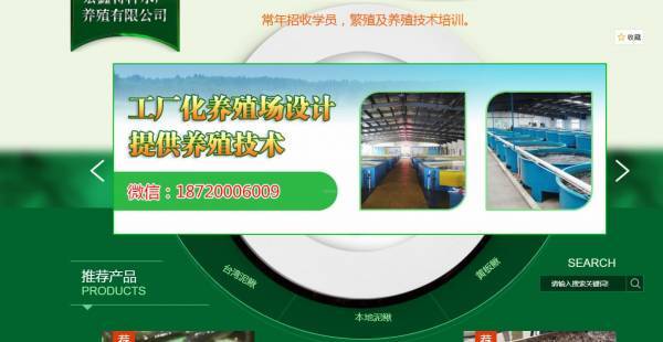 数字生态池 余江县宏*特种水产养殖网站创意设计与品牌重塑
